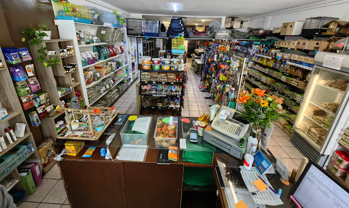 Our Store