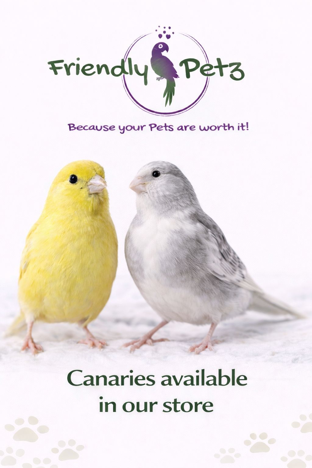Bird for Sale 7