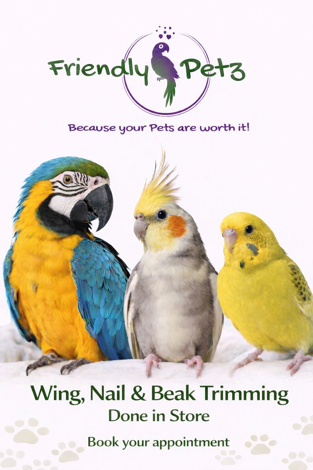 Bird Trimming