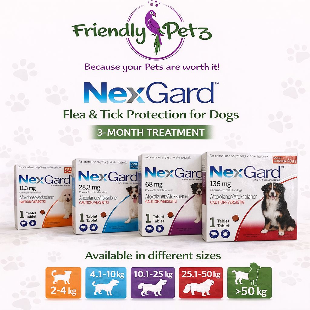 Dog Medication