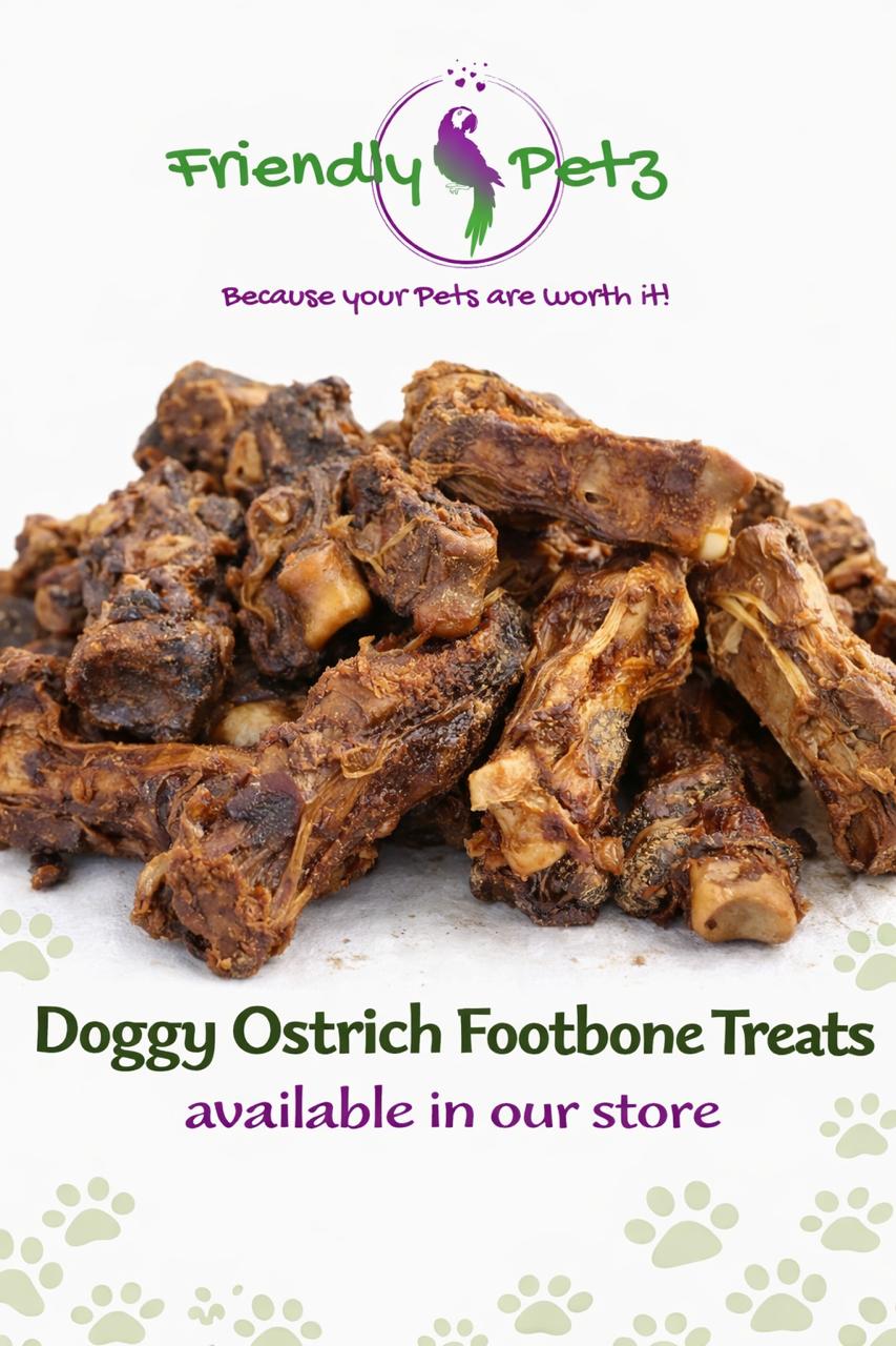 Dog Treats