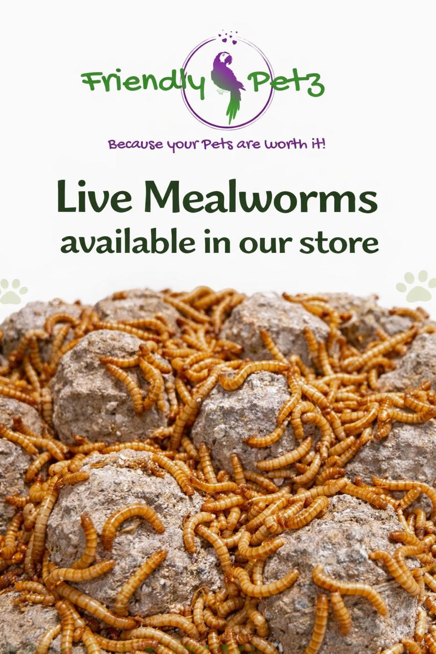 Other Pet Supply 1