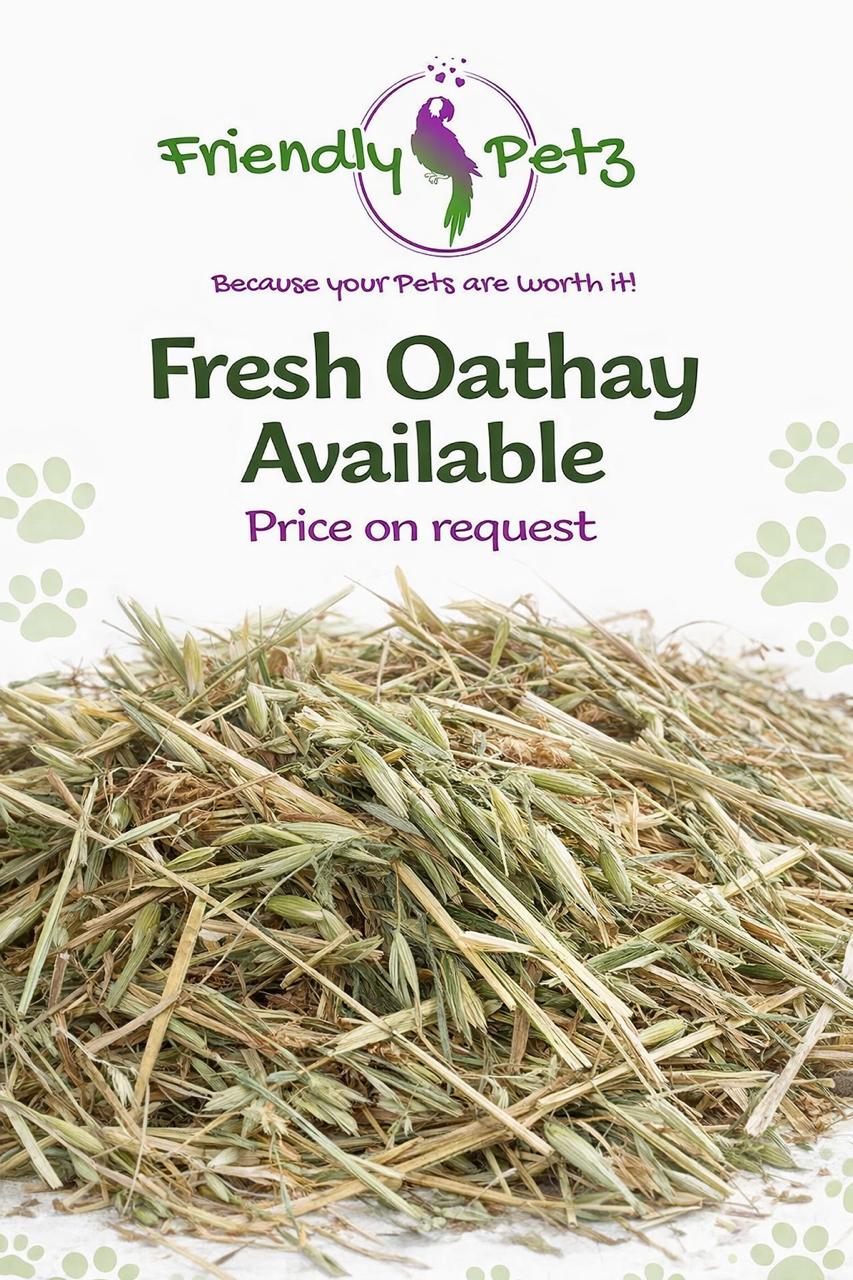 Other Pet Supply 3